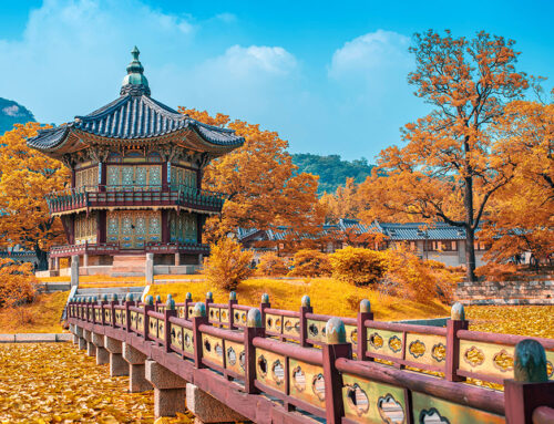 Autumn in Korea: A Safe & Vibrant Exploration Guide